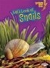 Let's Look at Snails (Paperback) - Laura Hamilton Waxman Photo