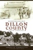 Remembering Dillon County, South Carolina (Paperback) - Carley Wiggins Photo