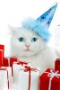 A Cute White Cat in a Blue Hat Ready for Christmas - Blank 150 Page Lined Journal for Your Thoughts, Ideas, and Inspiration (Paperback) - Unique Journal Photo