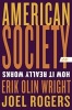 American Society - How it Really Works (Paperback, 2nd Revised edition) - Erik Olin Wright Photo