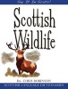 Scottish Wildlife (English, Scots, Paperback, Illustrated Ed) - Chris Robinson Photo