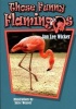 Those Funny Flamingos (Paperback) - Jan Lee Wicker Photo