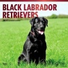 Labrador Retrievers, Black (Calendar) - Inc Browntrout Publishers Photo