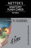 Netter's Anatomy Flash Cards (Cards, 4th Revised edition) - John T Hansen Photo