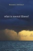 What is Mental Illness? (Paperback) - Richard J McNally Photo