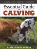 Essential Guide to Calving - Giving Your Beef and Dairy Herd a Healthy Start (Paperback) - Heather Smith Thomas Photo