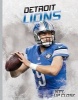 Detroit Lions (Hardcover) - Brian Hall Photo