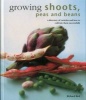 Growing Shoots, Peas and Beans - A Directory of Varieties and How to Cultivate Them Successfully (Hardcover) - Richard Bird Photo