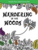 Wandering in the Woods - Peaceful Places Adult Coloring Book (Paperback) - Ryan Jacobson Photo