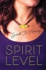 Spirit Level (Paperback) - Sarah N Harvey Photo