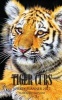 Tiger Cubs Weekly Planner 2017 - 16 Month Calendar (Paperback) - David Mann Photo