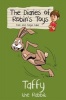 Taffy the Rabbit - The Diaries of Robin's Toys (Paperback) - Ken Lake Photo