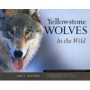 Yellowstone Wolves In The Wild (Paperback) - James C Halfpenny Photo