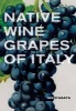 Native Wine Grapes of Italy (Hardcover) - Ian DAgata Photo