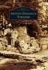 Around Damascus Township (Paperback) - Barbara Davis Dexter Photo