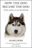 How the Dog Became the Dog - From Wolves to Our Best Friends (Paperback) - Mark Derr Photo