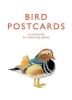 Bird Postcards (Postcard book or pack) - Christine Berrie Photo