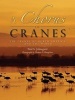 A Chorus of Cranes - The Cranes of North America and the World (Paperback) - Paul A Johnsgard Photo