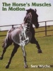 The Horse's Muscles in Motion (Hardcover) - Sara Wyche Photo