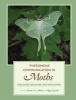 Pheromone Communication in Moths - Evolution, Behavior, and Application (Hardcover) - Jeremy D Allison Photo