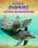 A Pod of Dolphins - and Other Sea Mammal Groups (Paperback) - Richard Spilsbury Photo