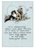 Dog and Cat Valentine (Cards) - Laughing Elephant Photo