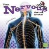 Your Nervous System Works! (Hardcover) - Flora Brett Photo