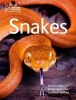 Snakes (Paperback, Revised and reformatted ed) - David J Gower Photo