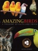 Amazing Birds - A Treasury of Facts and Trivia (Paperback) - Roger J Lederer Photo