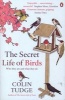 The Secret Life of Birds - Who They are and What They Do (Paperback) - Colin Tudge Photo