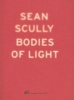  - Bodies of Lights (Paperback) - Sean Scully Photo