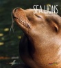 Sea Lions (Paperback) - Melissa Gish Photo