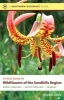 A Field Guide to Wildflowers of the Sandhills Region - North Carolina, South Carolina, and Georgia (Paperback, 1st New edition) - Bruce A Sorrie Photo