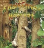 A Rainforest Habitat (Paperback) - Molly Aloian Photo