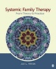 Systemic Family Therapy - From Theory to Practice (Hardcover, New) - Jon L Winek Photo