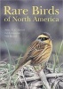 Rare Birds of North America (Hardcover) - Steve NG Howell Photo