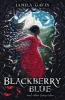 Blackberry Blue - And Other Fairy Tales (Paperback) - Jamila Gavin Photo