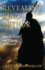 Revealing King Arthur - Swords, Stones and Digging for Camelot (Hardcover) - Christopher Gidlow Photo