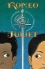 Romeo and Juliet (Paperback) - Gareth Hinds Photo