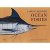  Ocean Fishes - Paintings of Saltwater Game Fish (Hardcover) - James Prosek Photo