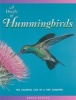 A Dazzle of Hummingbirds - The Colorful Life of a Tiny Scrapper (Paperback) - Bruce Berger Photo