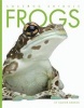 Frogs (Paperback) - Valerie Bodden Photo