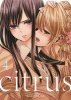 Citrus, Vol. 4 (Paperback) - Saburouta Photo