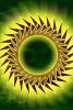 Abstract Sun Spiral on Green - Blank 150 Page Lined Journal for Your Thoughts, Ideas, and Inspiration (Paperback) - Unique Journal Photo