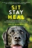 Sit Stay Heal - How an Underachieving Labrador Won Our Hearts and Brought Us Together (Paperback) - Mel Miskimen Photo