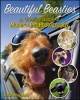 Beautiful Beasties - A Creative Guide to Modern Pet Photography (Paperback, New) - Jamie Pflughoeft Photo