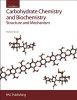 Carbohydrate Chemistry and Biochemistry - Structure and Mechanism (Hardcover, New edition) - Michael Sinnott Photo