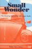 Small Wonder - The Amazing Story of the Volkswagen Beetle (Paperback) - Walter Henry Nelson Photo