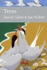 Terns (Hardcover) - David Cabot Photo