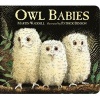 Owl Babies (Board book) - Martin Waddell Photo